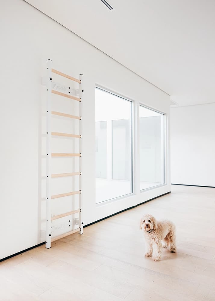 BenchK 700W Swedish ladder wall bar installed at home