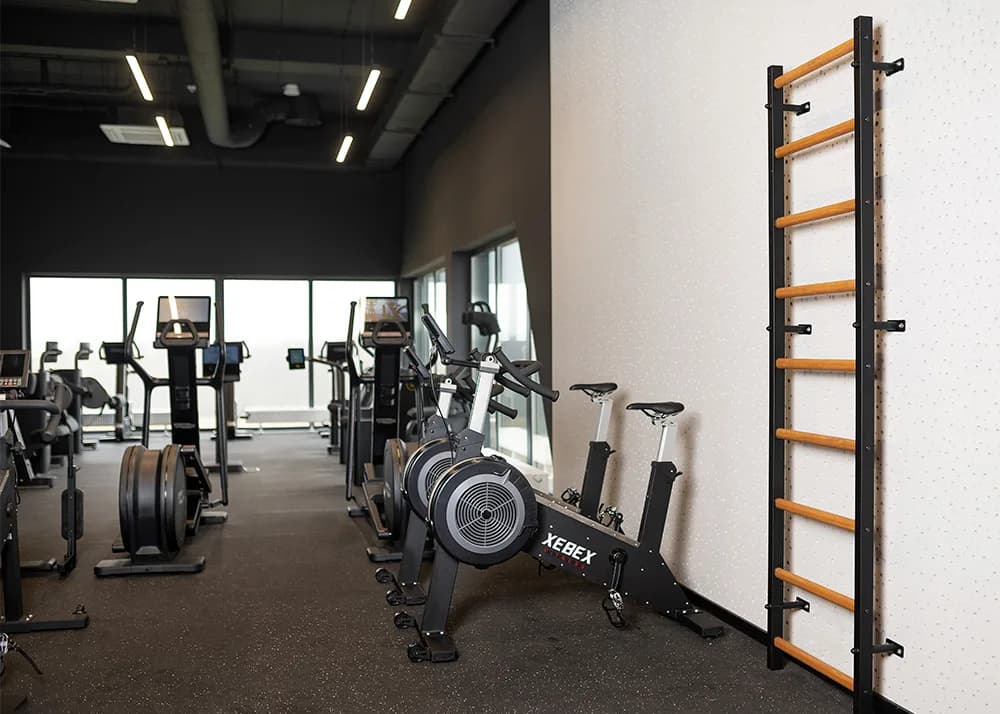 BenchK wall bars installed in a commercial gym