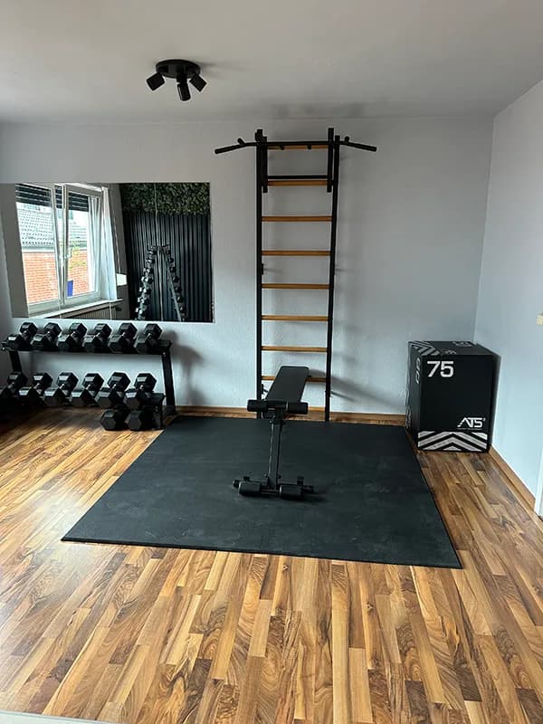 BenchK wall bars installed in a commercial gym