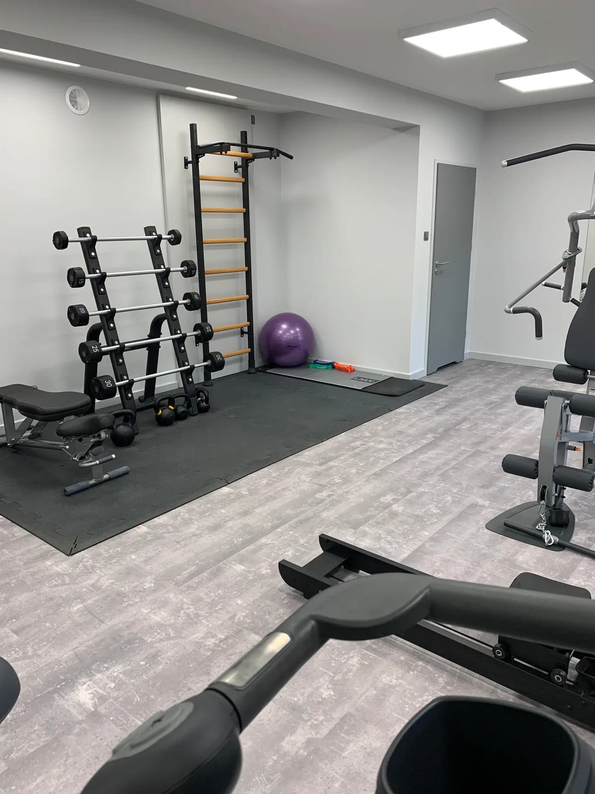BenchK wall bars installed in a commercial gym