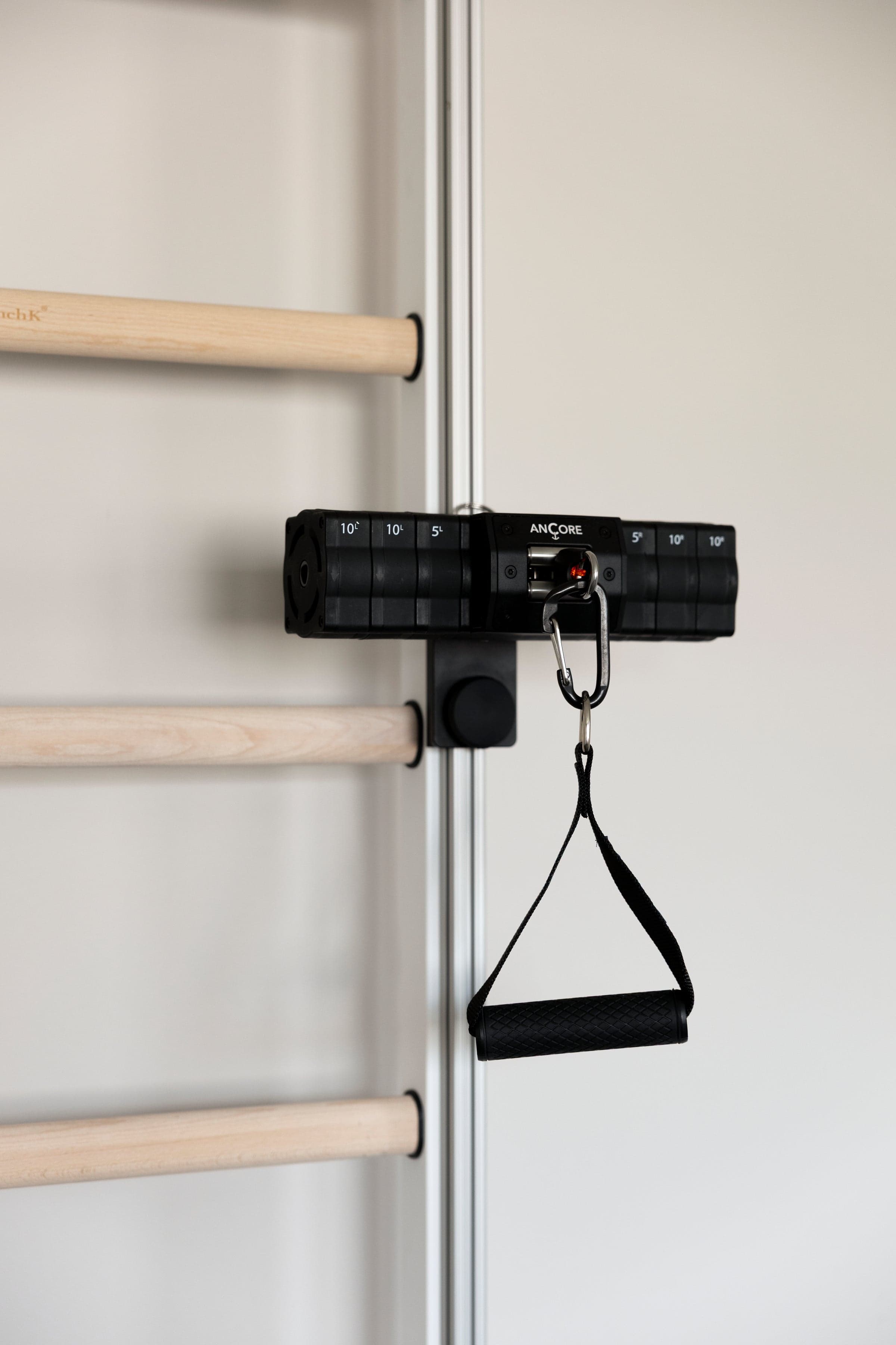 ANCORE Pro Cable Training System for BenchK wall bars